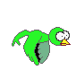 Oiseau vert