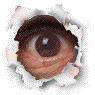 L'occhio dell'osservatore