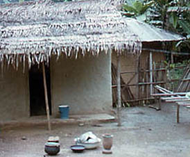 Palm branches used as swish roofing