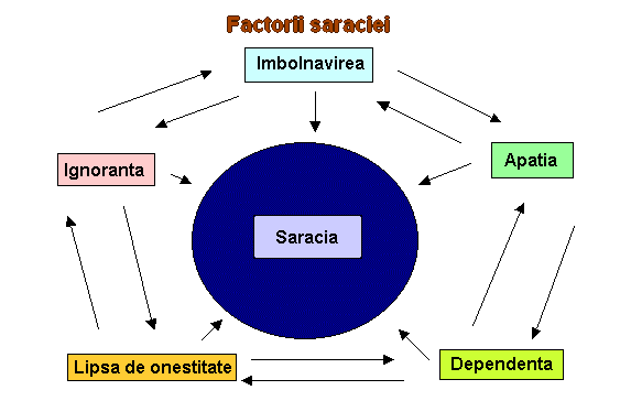 Saracie