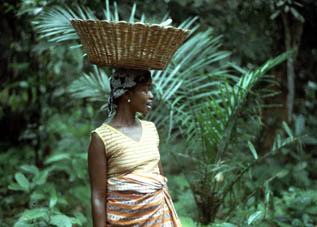 Agriculteur d'huile de palme