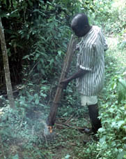Firing the bundle of palm branches