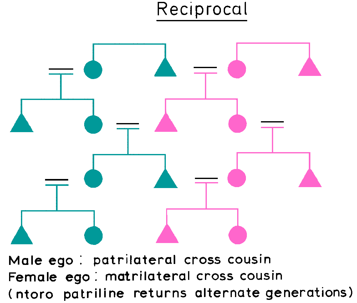 Meaning Of Cross Cousin Marriage