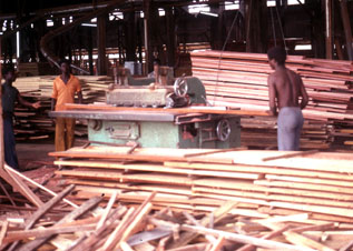 Sawmill at Nkawkaw